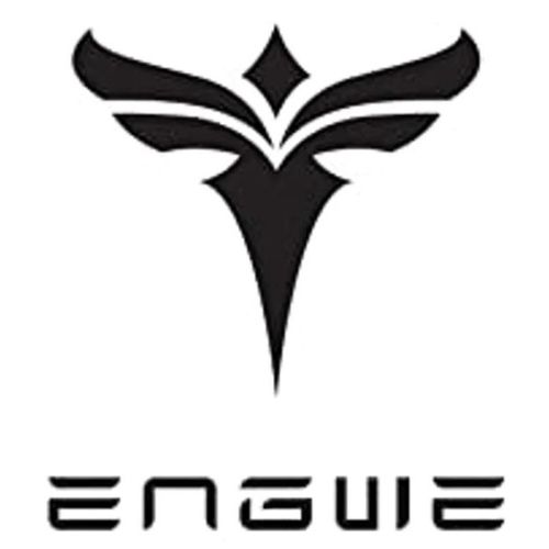Engwe logo