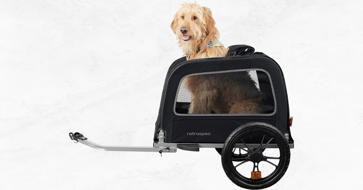 Retrospec Rover Waggin Review eBike Trailer Review (Updated Sep, 2023)